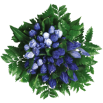 Composizione_floreale Bouquet di fiori azzurri
