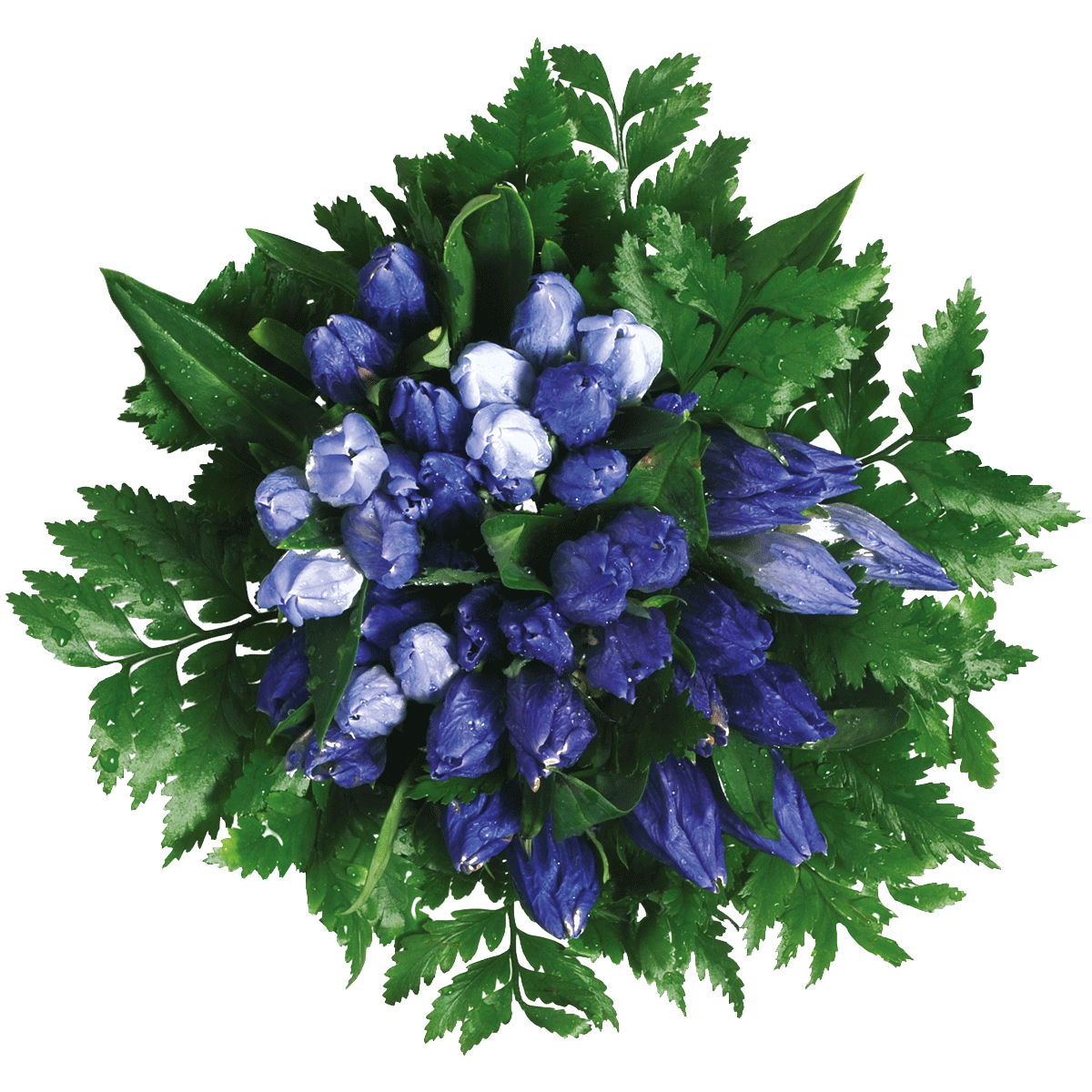 Bouquet di fiori azzurri