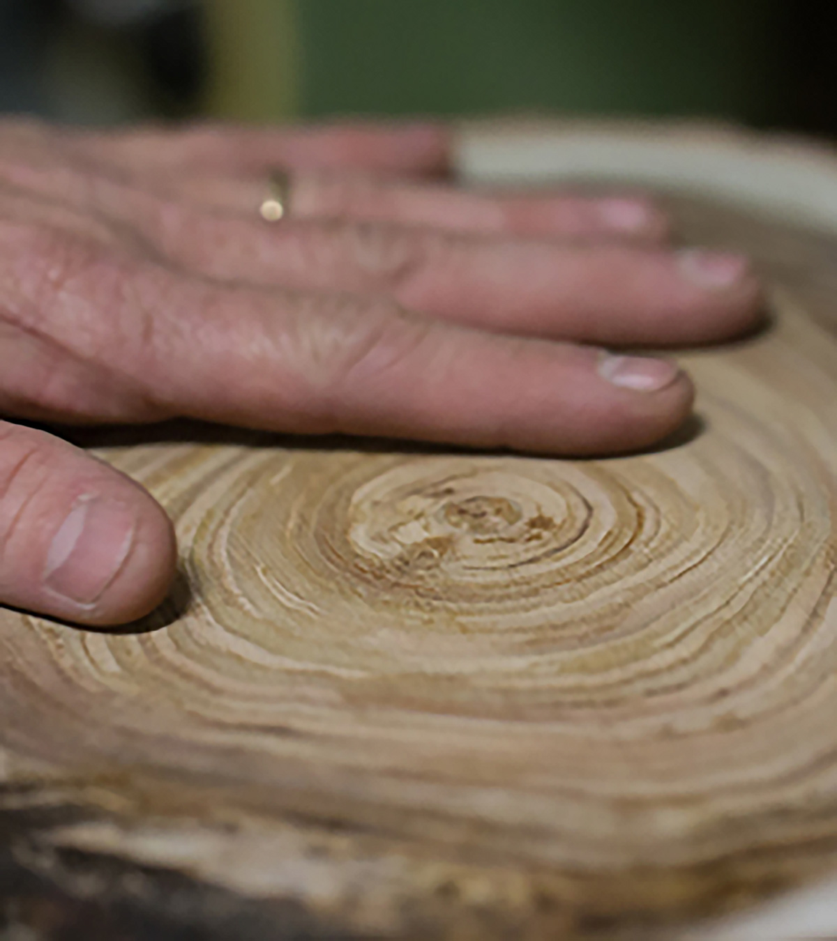 Particolare di legno con venature